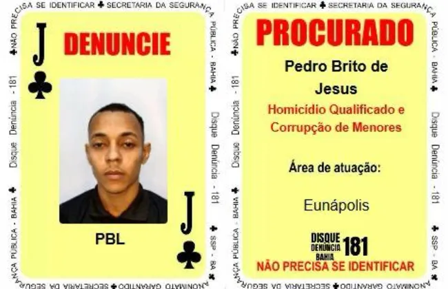 Imagem ilustrativa da imagem 
