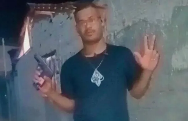 Imagem ilustrativa da imagem 