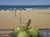 Imagem ilustrativa da imagem 