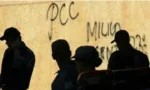 Imagem ilustrativa da imagem 