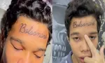 Imagem ilustrativa da imagem 