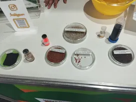 De moscas a peixes: confira espécies que podem ser vistas na Fenagro - Imagem