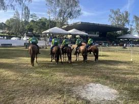 Saiba como funciona julgamento de cavalos na Fenagro - Imagem