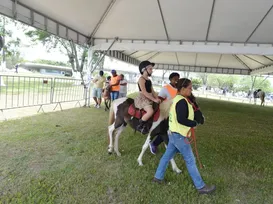 Roteiro infantil: 12 atrações imperdíveis para as crianças na Fenagro - Imagem