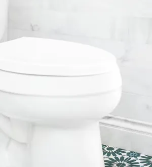 Imagem ilustrativa da imagem Suspeito se 'caga todo' perto da PM ao jogar drogas dentro de vaso