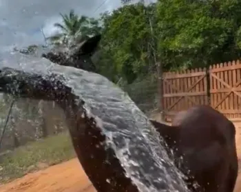 Imagem ilustrativa da imagem 