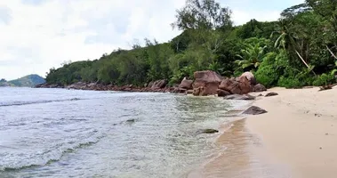 Imagem ilustrativa da imagem Cabeças humanas são encontradas penduradas em praia turística