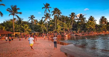 Imagem ilustrativa da imagem Cidade baiana proíbe venda de long necks; entenda o motivo
