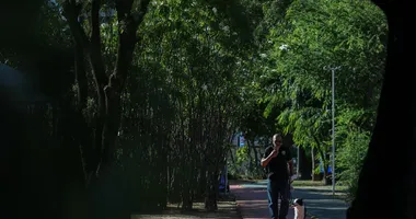 Imagem ilustrativa da imagem Sombra para poucos: falta de árvores aquece a periferia em Salvador