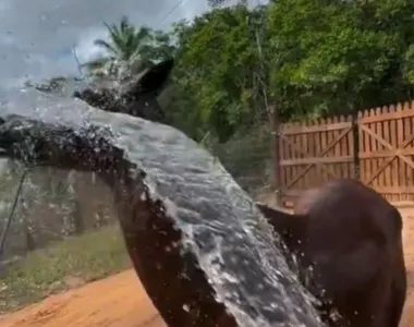 Davi está com esse novo terreno desde agosto