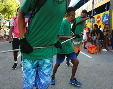 Cordeiros trabalhando no Campo Grande