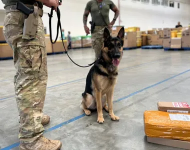 Trabalho de inteligência da Polícia conduziu as investigações