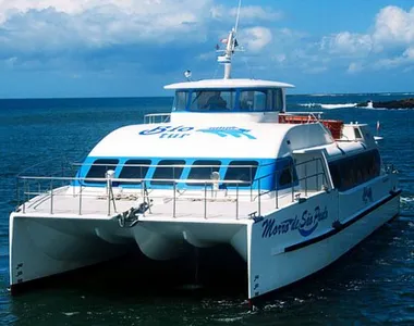 Ida e volta operam com todos os horários cheios