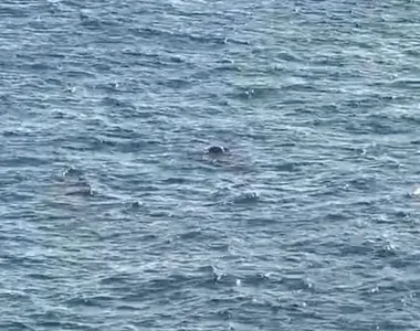 Corpo boiando no mar