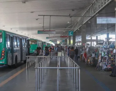 Cinco novas linhas entram em operação