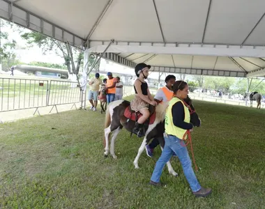 Atrações da Fenagro têm preços a partir de R$ 10