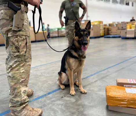 Imagem ilustrativa da imagem Homem usa irmã menor para buscar drogas nos Correios e acaba preso