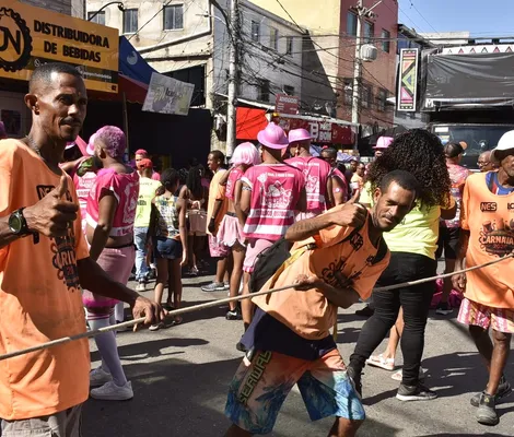 Imagem ilustrativa da imagem Segurando a onda dos blocos, cordeiros faturam uma grana no Nordeste