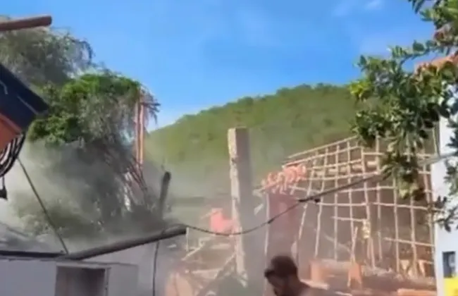 Imagem ilustrativa da imagem 