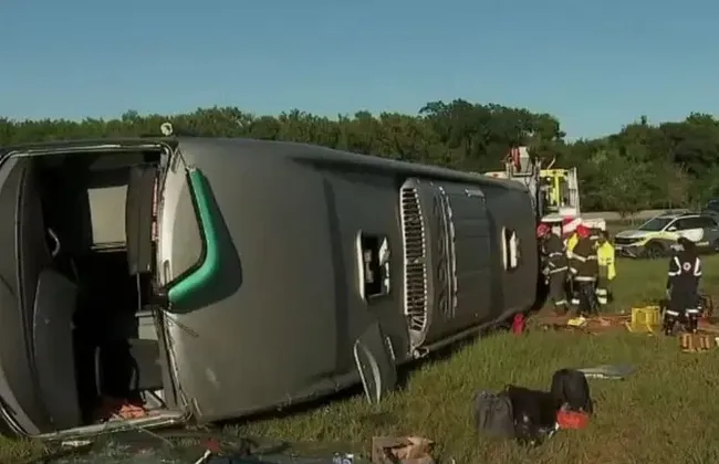 Imagem ilustrativa da imagem 