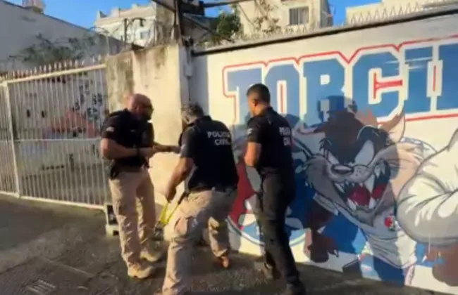 Imagem ilustrativa da imagem 