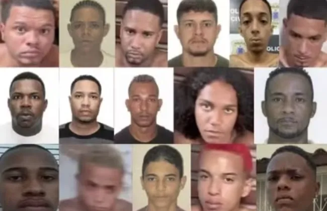 Imagem ilustrativa da imagem 