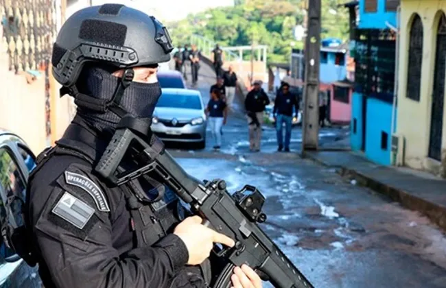 Imagem ilustrativa da imagem 