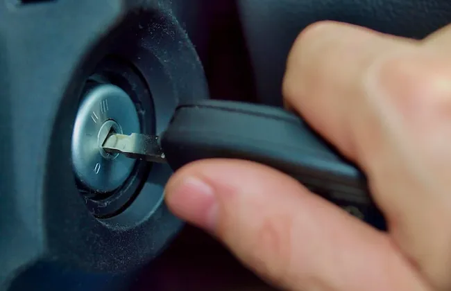 Imagem ilustrativa da imagem 