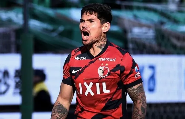 Imagem ilustrativa da imagem 