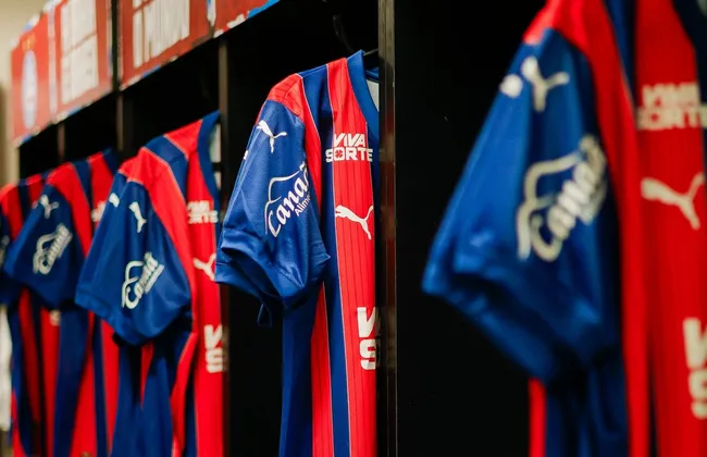 Imagem ilustrativa da imagem 