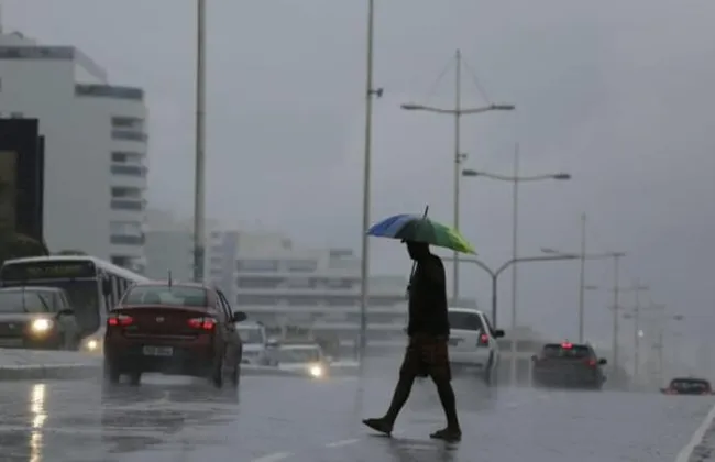 Imagem ilustrativa da imagem 