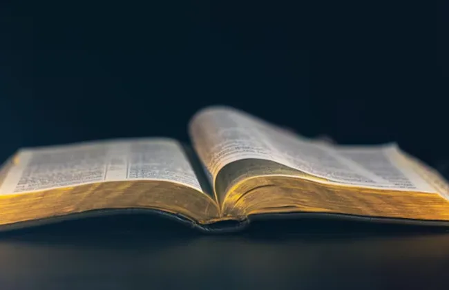 Imagem ilustrativa da imagem 