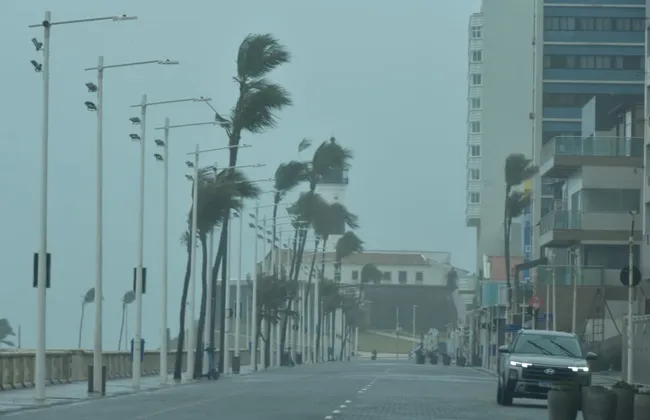 Imagem ilustrativa da imagem 