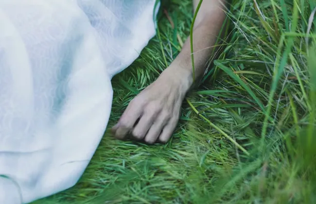 Imagem ilustrativa da imagem 