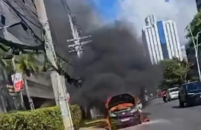 Imagem ilustrativa da imagem 