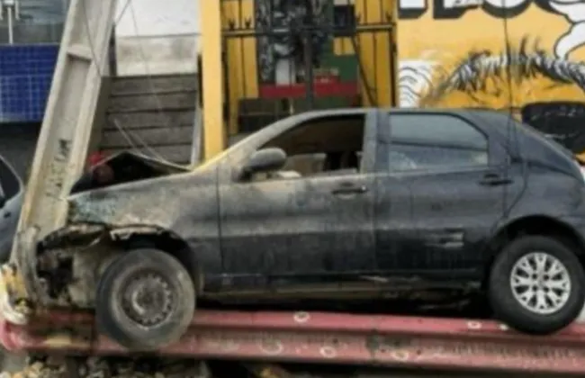 Imagem ilustrativa da imagem 