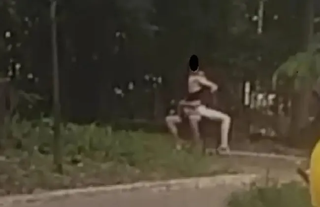 Imagem ilustrativa da imagem 