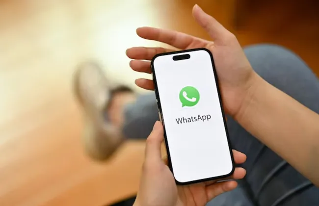 Imagem ilustrativa da imagem 