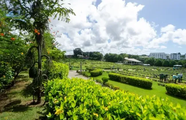 Imagem ilustrativa da imagem 