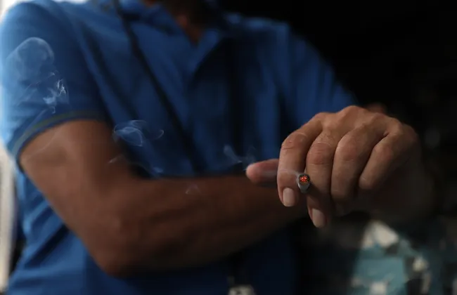 Imagem ilustrativa da imagem 