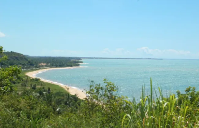 Imagem ilustrativa da imagem 