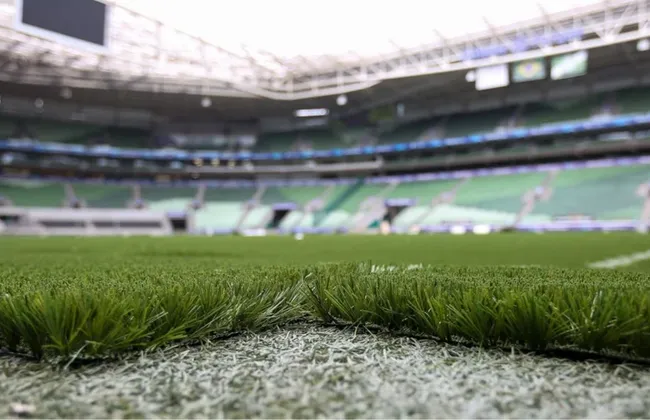 Imagem ilustrativa da imagem 