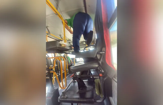 Imagem ilustrativa da imagem 