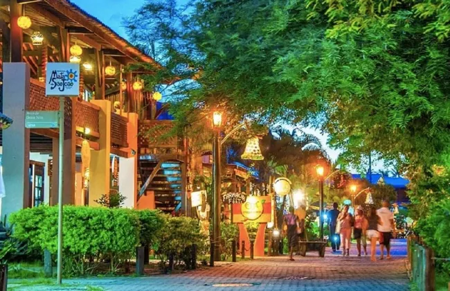 Imagem ilustrativa da imagem 