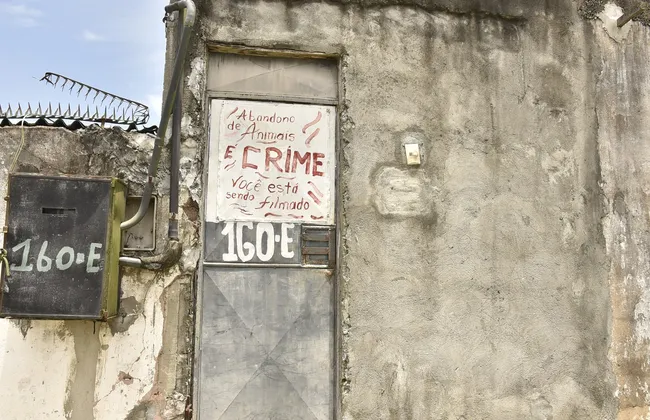 Imagem ilustrativa da imagem 