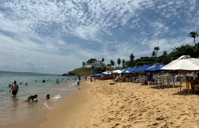 Imagem ilustrativa da imagem 