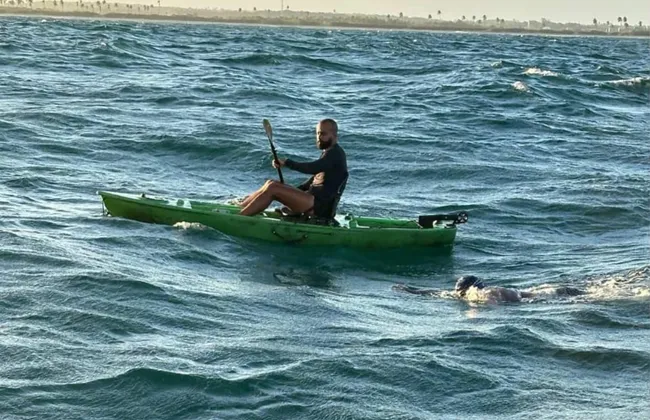 Imagem ilustrativa da imagem 