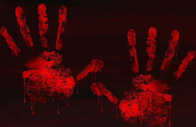 Imagem ilustrativa da imagem 