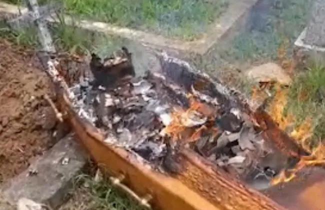 Imagem ilustrativa da imagem 