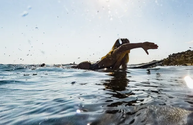 Imagem ilustrativa da imagem 